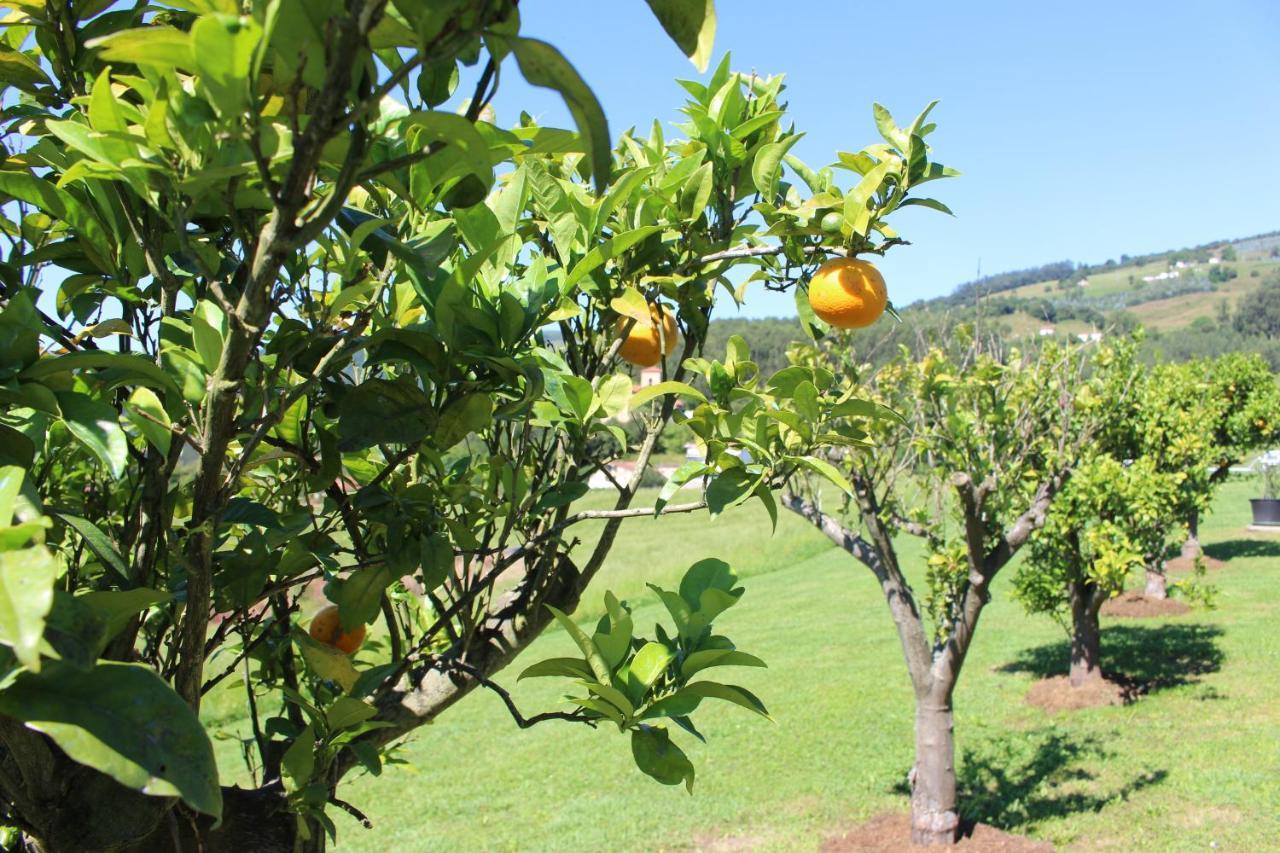 Posada El Campo Secadura Eksteriør bilde